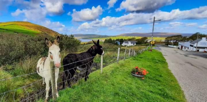 Cozy & Remote Hideaway Gintys Cottage Ross Port Eksteriør bilde